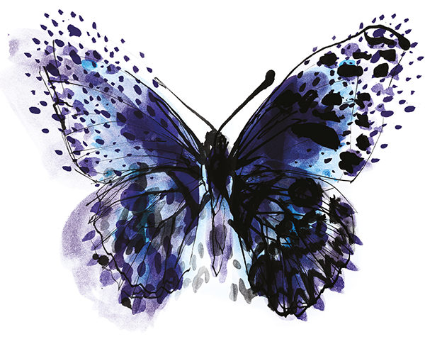 Blue Butterfly Illustration