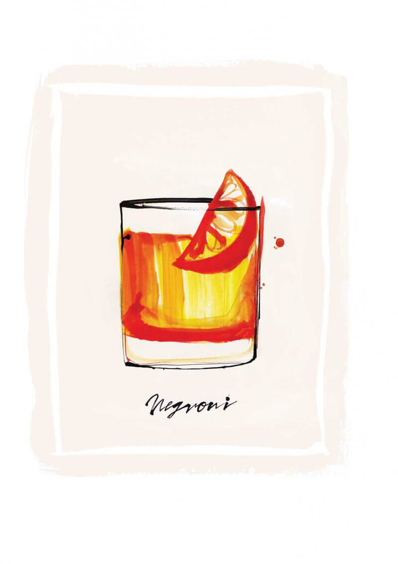 Endless Summer - Negroni Cocktail