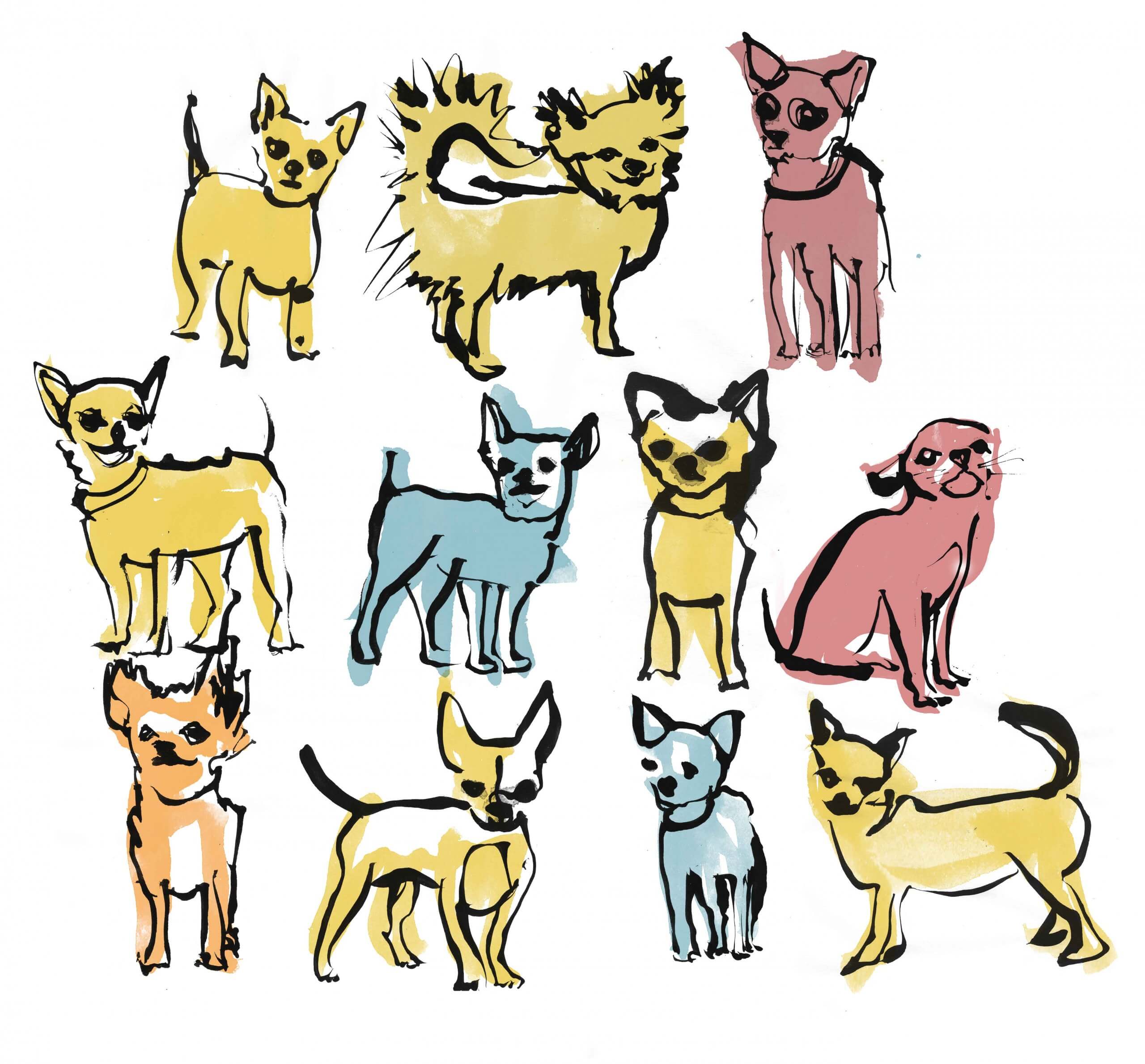 Hand painted linear style illustration of a mixture of chihuahua dogs. A mixture of coloured tones and brushstroke black line.