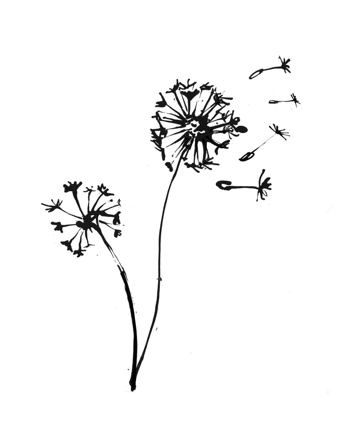 Sketches of a dandelions, and florals. The work in progress for the line artwork for an illustrated label for a hot toddy kit for interior agency Meadquin, part of a pack sent to clients for Christmas. Capturing a dandelion ink ink.A simple line artwork for an illustrated label for a hot toddy kit for interior agency Meadquin, part of a pack sent to clients for Christmas. Capturing a dandelion ink.