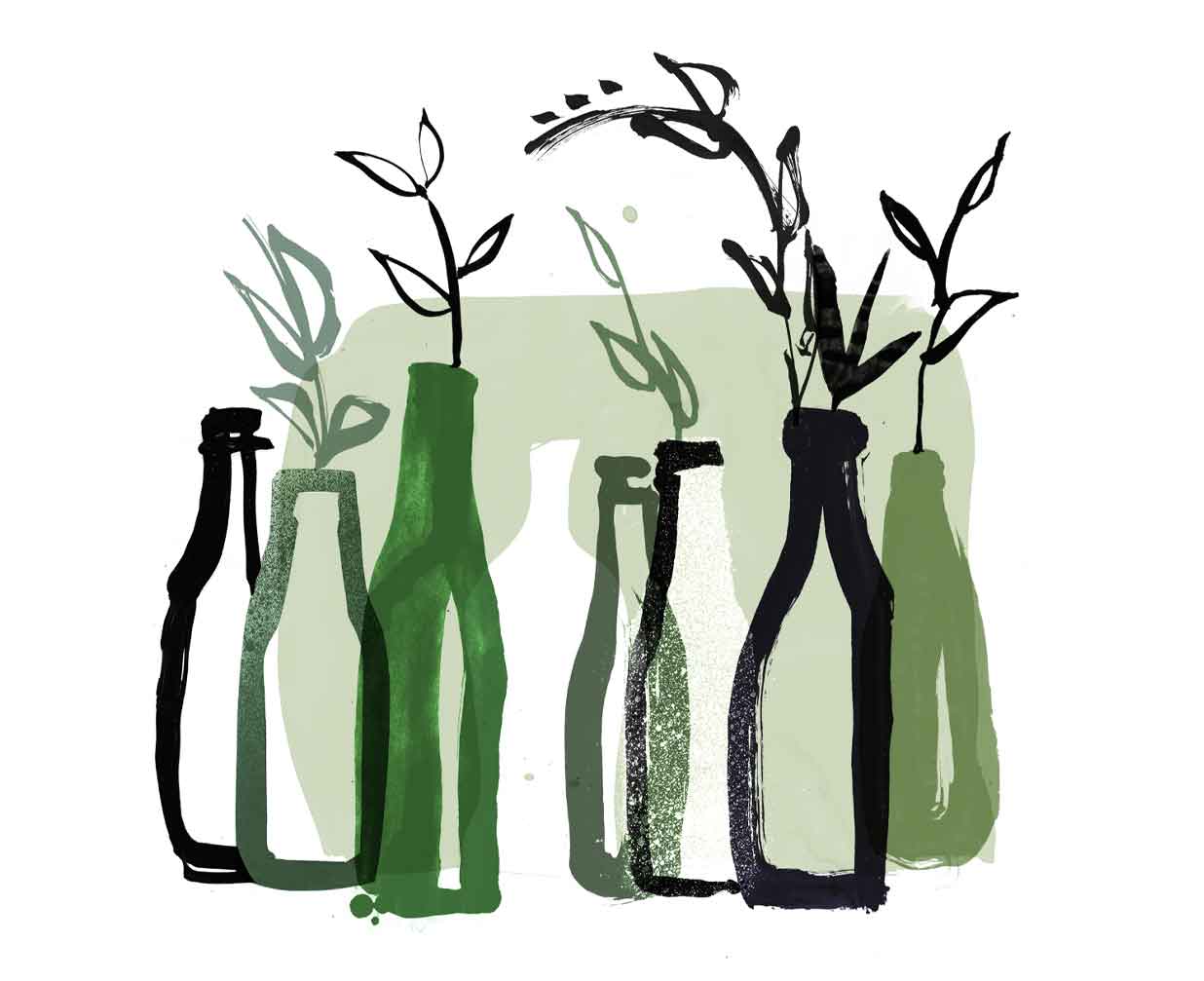 Hand painted linear style illustration of green bottles in a line. Used as vases. A mixture of line and blocks of colour.