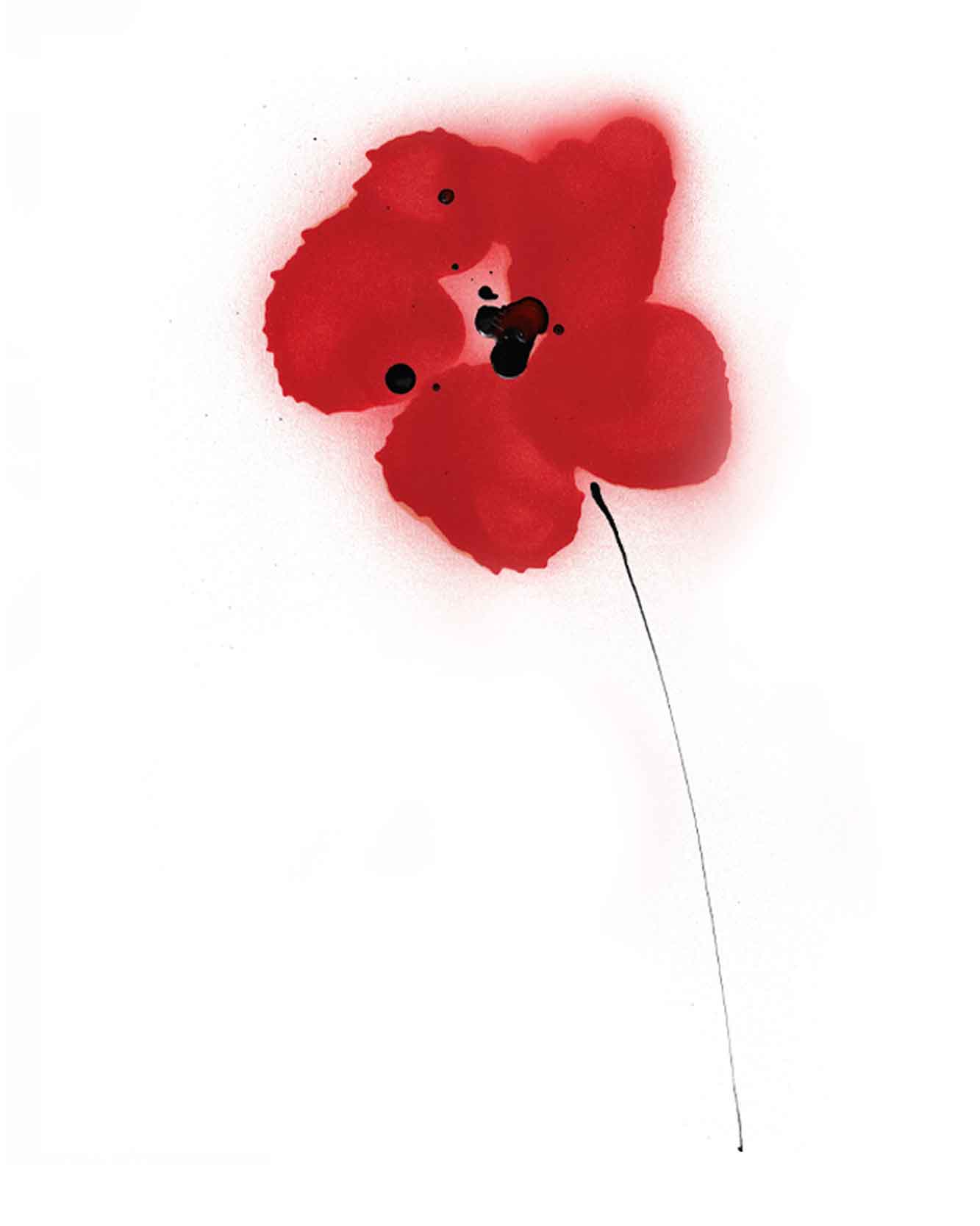 Single red poppy illustration. The flower is drawn in ink and spray paint, for Remembrance Day.
