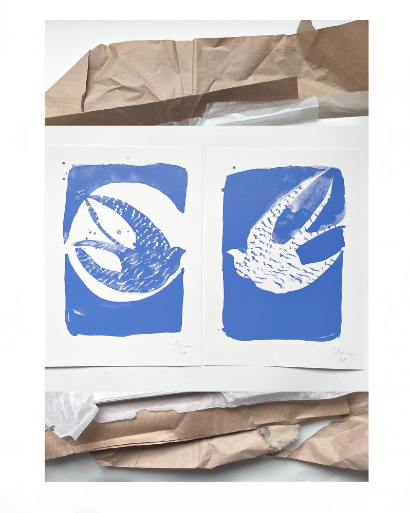 A pair of swallows. The two editions of 50 screen print by Caroline Tomlinson inspired by the belonging. One colour hand printed silkscreen A3 sized print. Purple, lilac background and the two swallows. One heading south - towards the sun. The other heading north.
