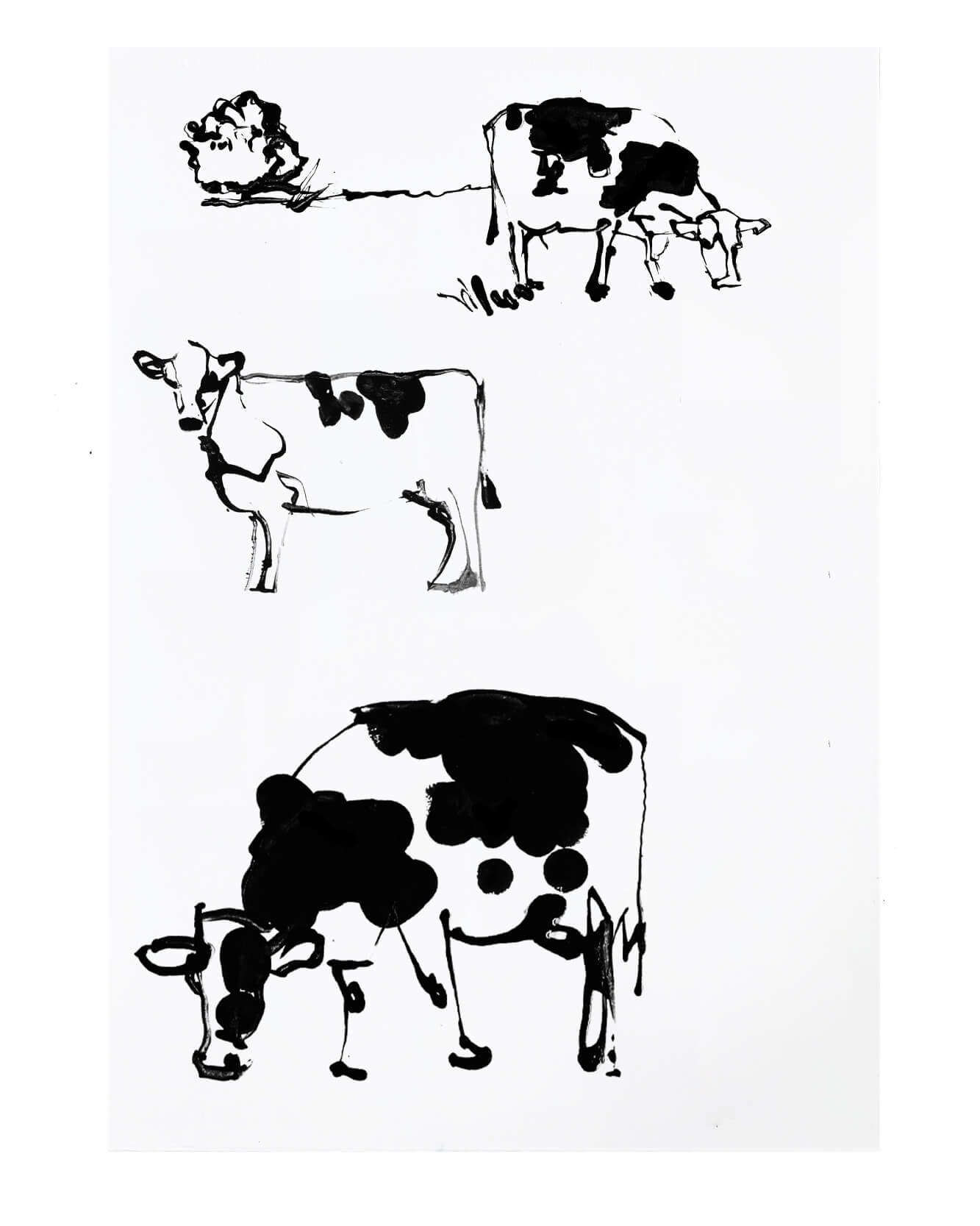 An artists sketchbook of line drawings inspired by an opportunity to capture UK food produce from all regions of the Uk. From sketch to full colour illustrations. Drawings of cows and chickens.