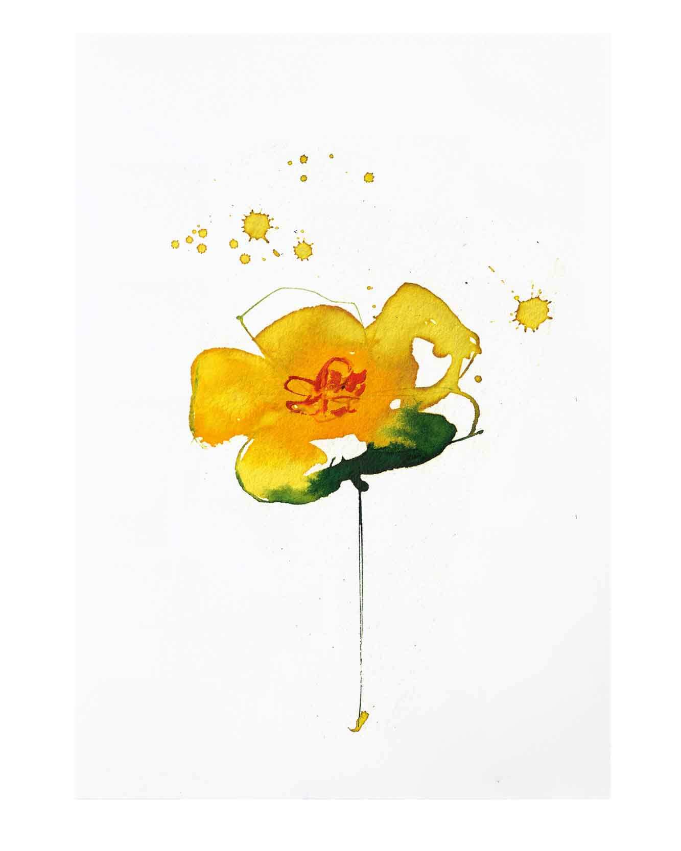 Colour illustration of a buttercup. Ink and watercolour - capturing the range of colours yellow, oranges and greens - all that go into making this little flower.
