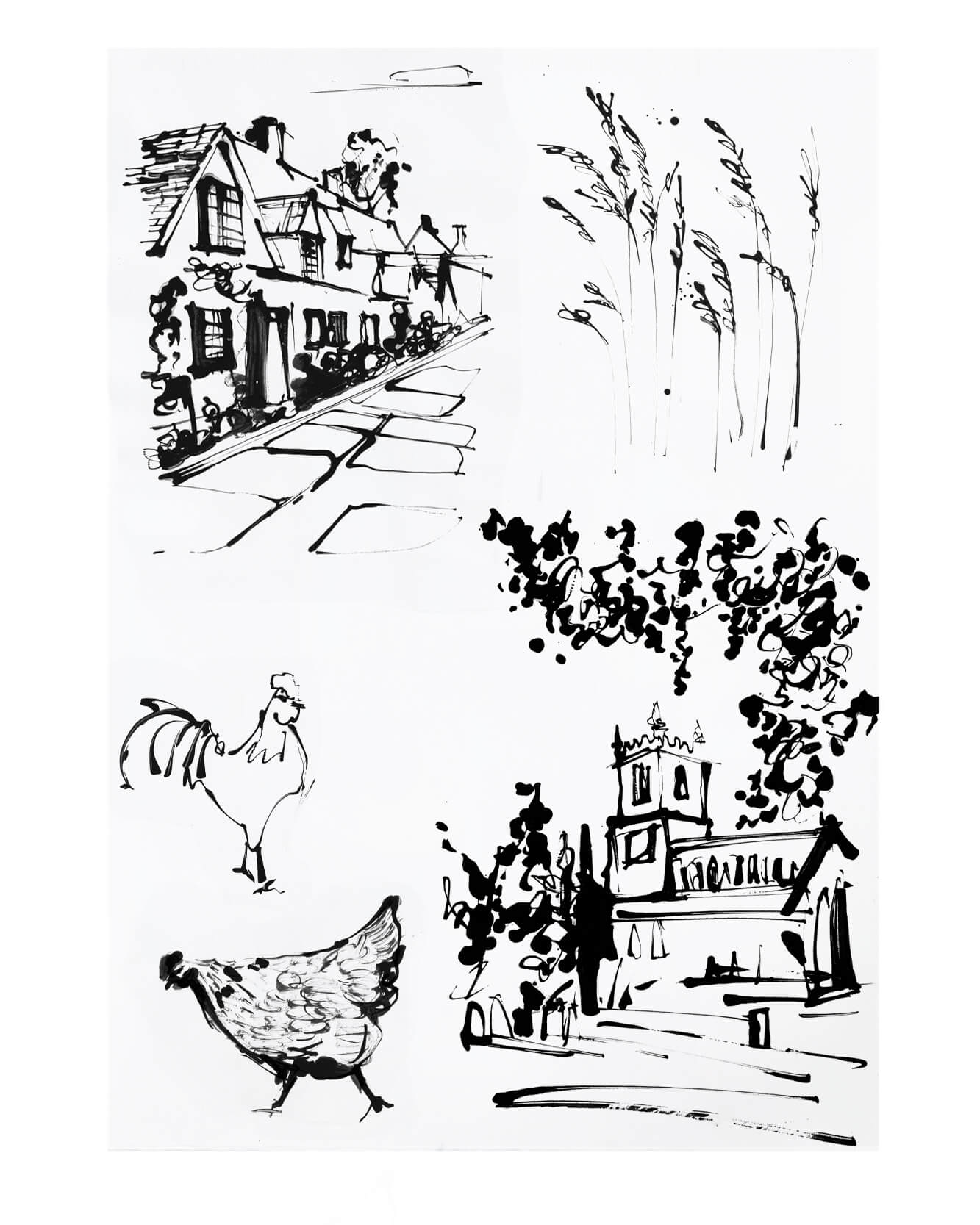 An artists sketchbook of line drawings inspired  by an opportunity to capture UK food produce from all regions of the Uk. From sketch to full colour illustrations. Drawings of cows and chickens.