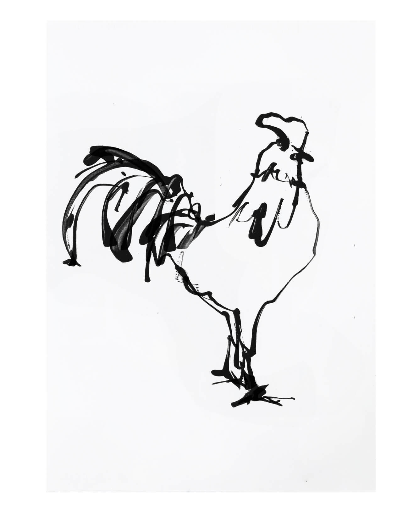 An artists sketchbook of line drawings inspired by a month in Cotswolds countryside. Simple line drawings for these illustrations of chickens. Animals, architecture and landscape drawings.