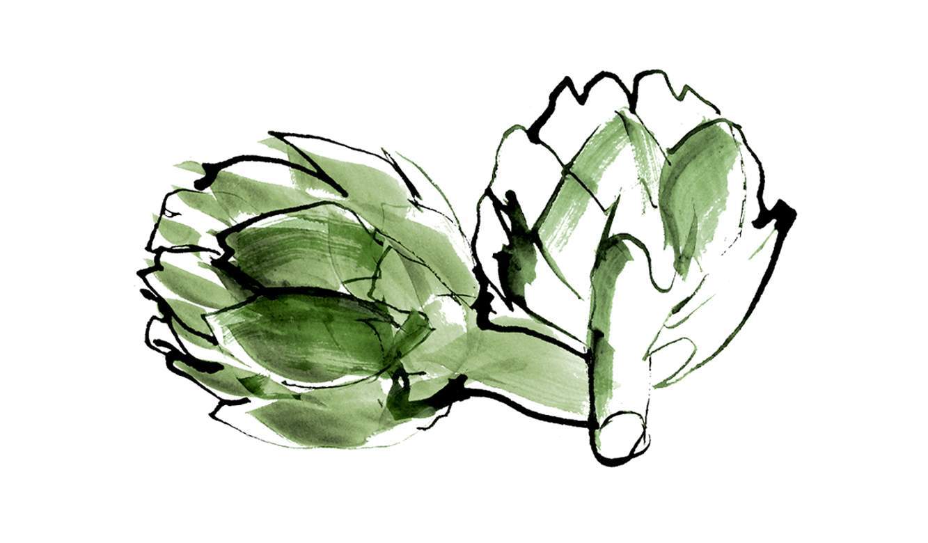 Artichoke A series of illustrations of fresh vegetable watercolour and ink drawings. Full colour Illustrations for a UK Food Map.