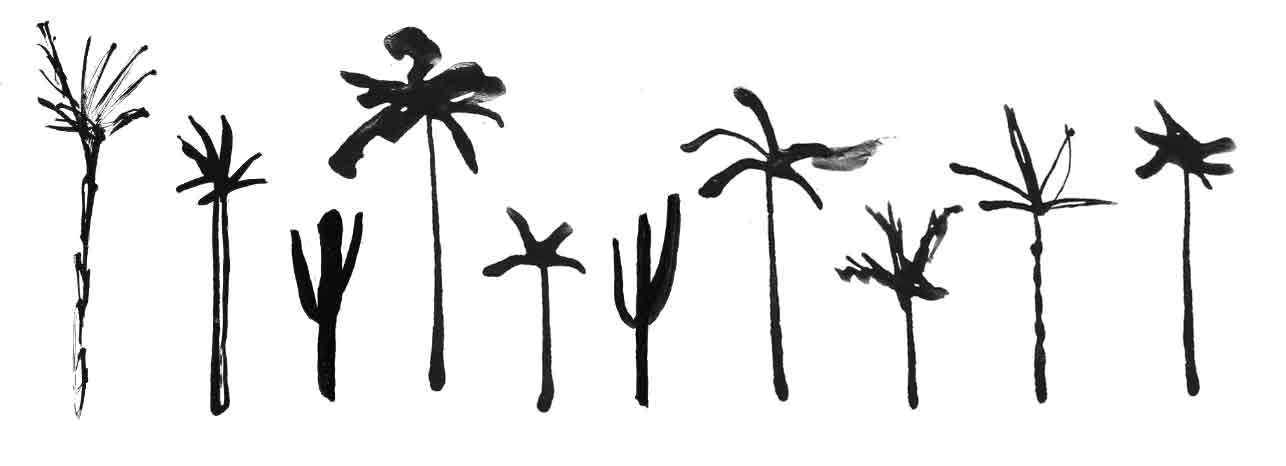 Palm trees and cactus illustration as part of a series of Travel inspired Illustrated Maps for Palm Springs Life Magazine Incorporating my inky hand written lettering, and drawings of landmarks and areas of interest.
