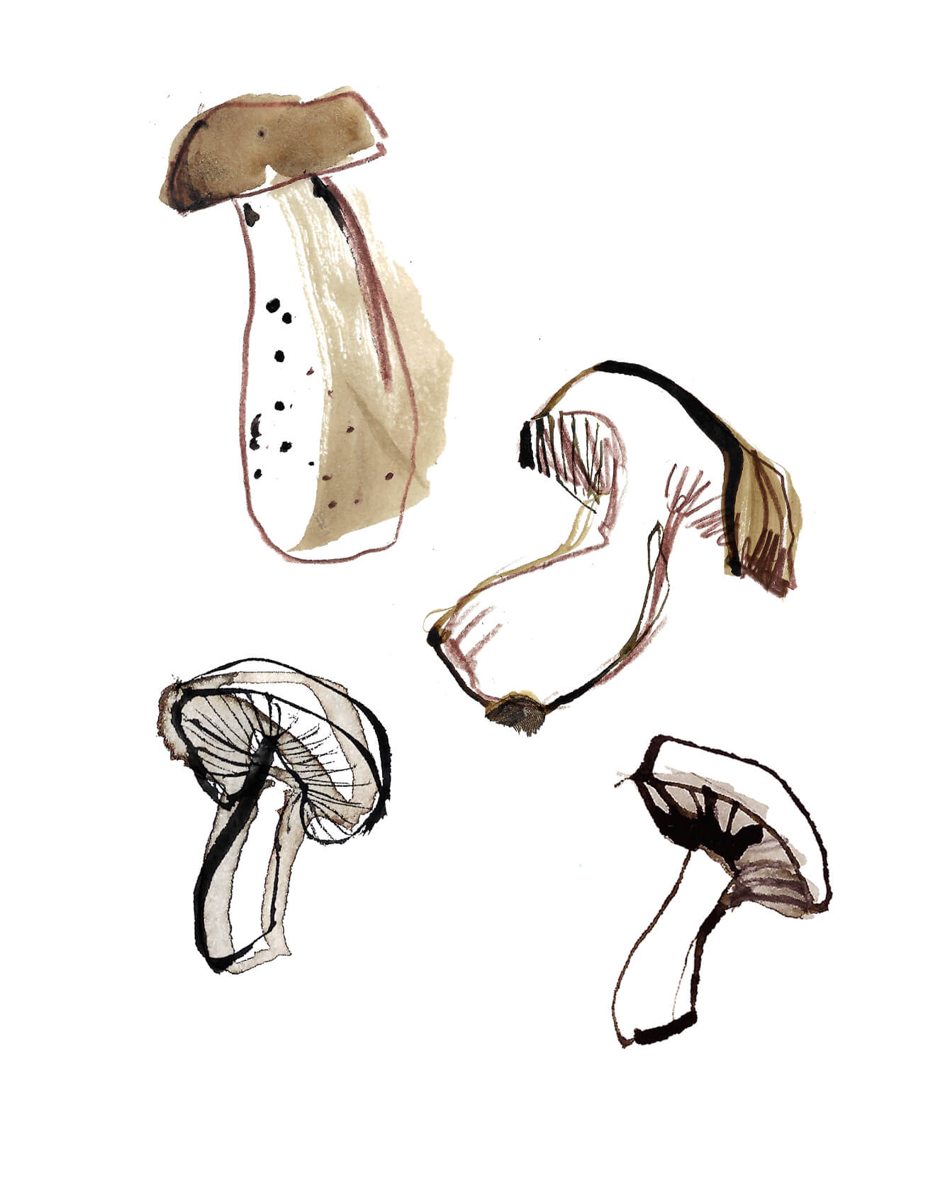 Mushroom illustration - for a series of vegetable watercolour and ink drawings. Vegetables full colour Illustrations for a UK Food Map