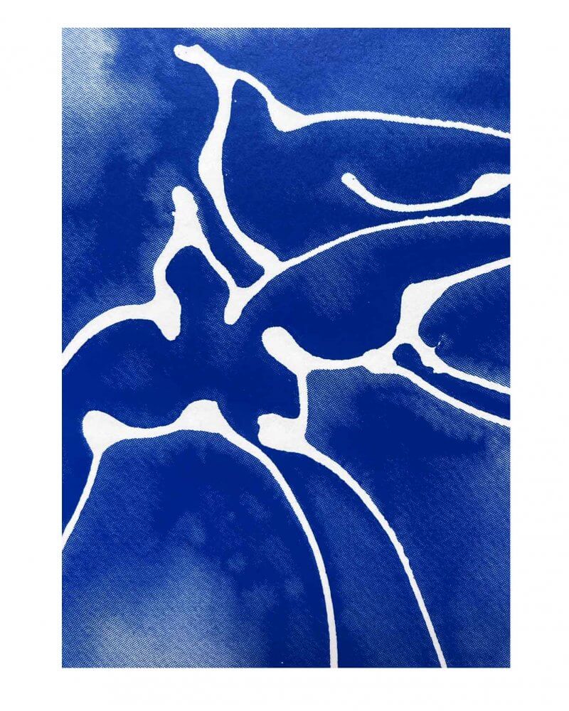 Caroline Tomlinson detail from silkscreen edition. "Together' edition 50. One colour screen print by Caroline Tomlinson inspired by the belonging and freedom One colour hand printed silkscreen A3 sized print, yves klein blue print.