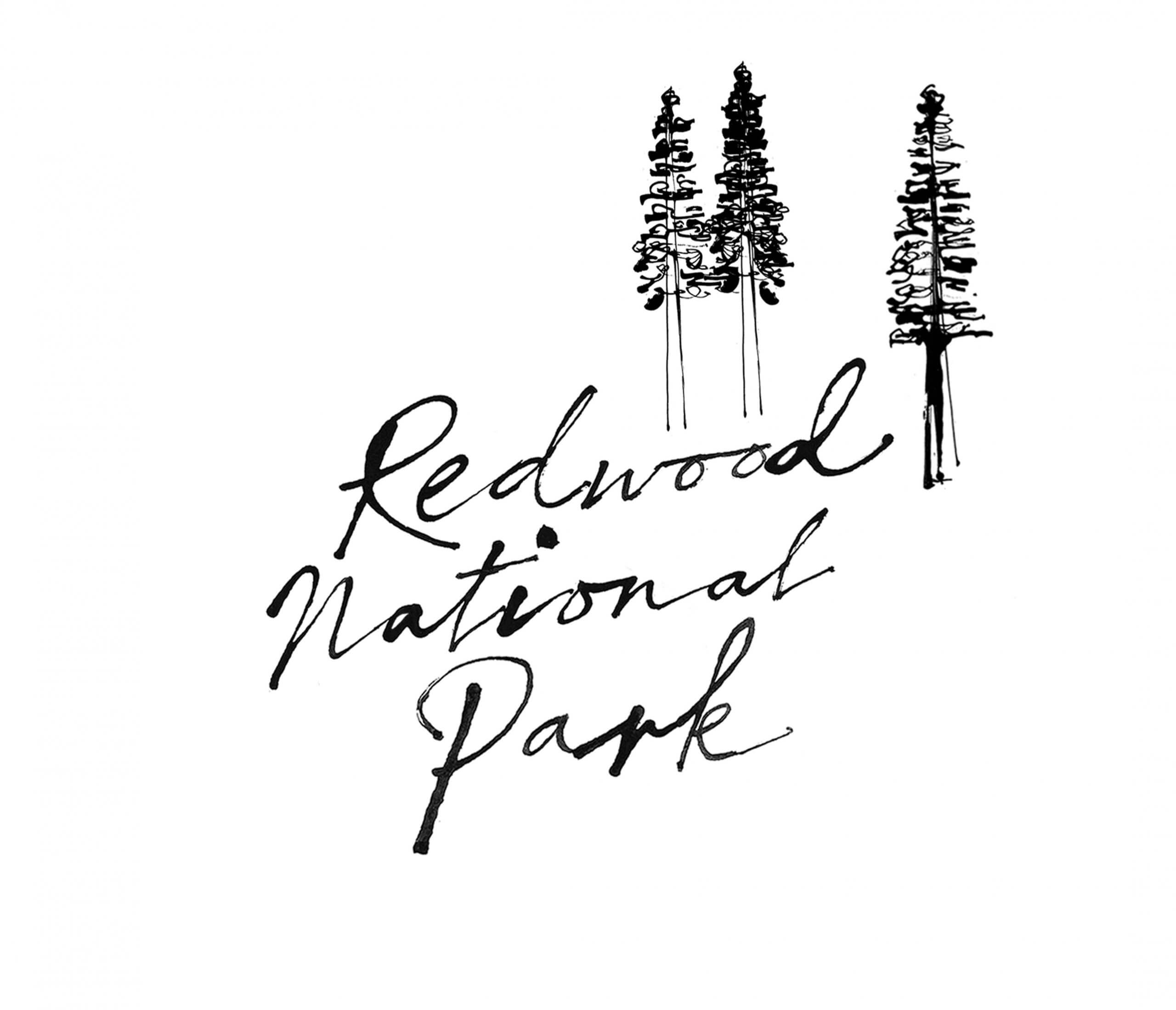 illustration and lettering for Californias famous Redwood National park, park of hand drawn illustrated map of the State of California.