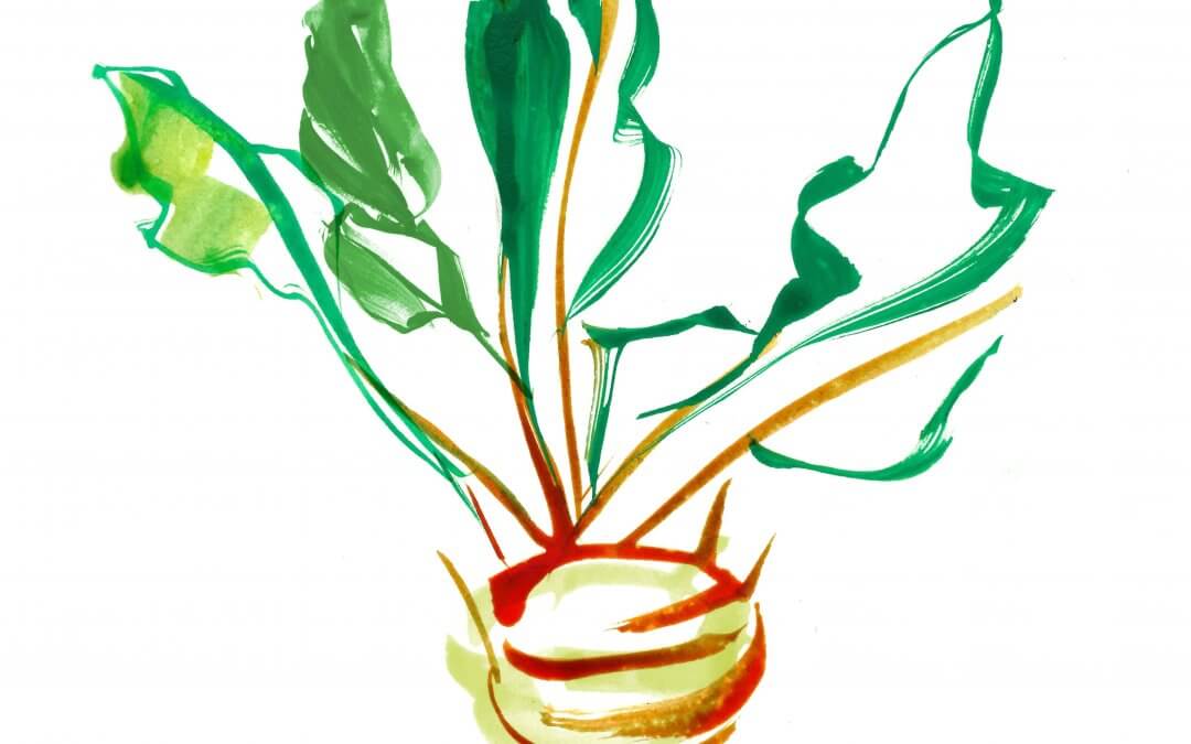 Food -Spring Menu Produce Illustrations – The London Peninsula
