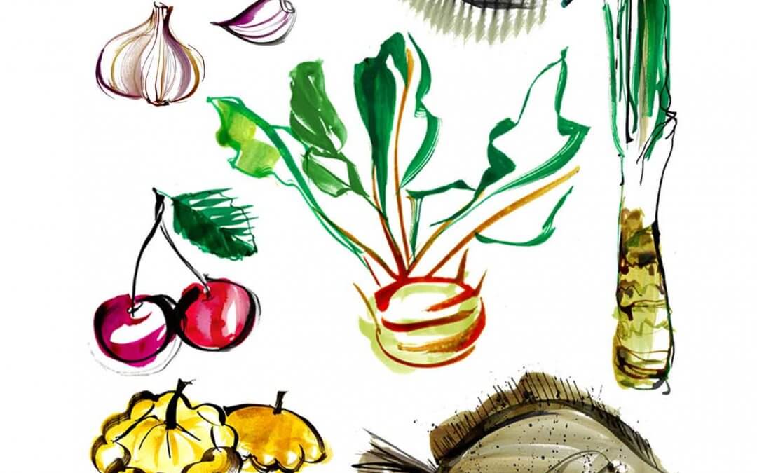 Food -Spring Menu Produce Illustrations – The London Peninsula