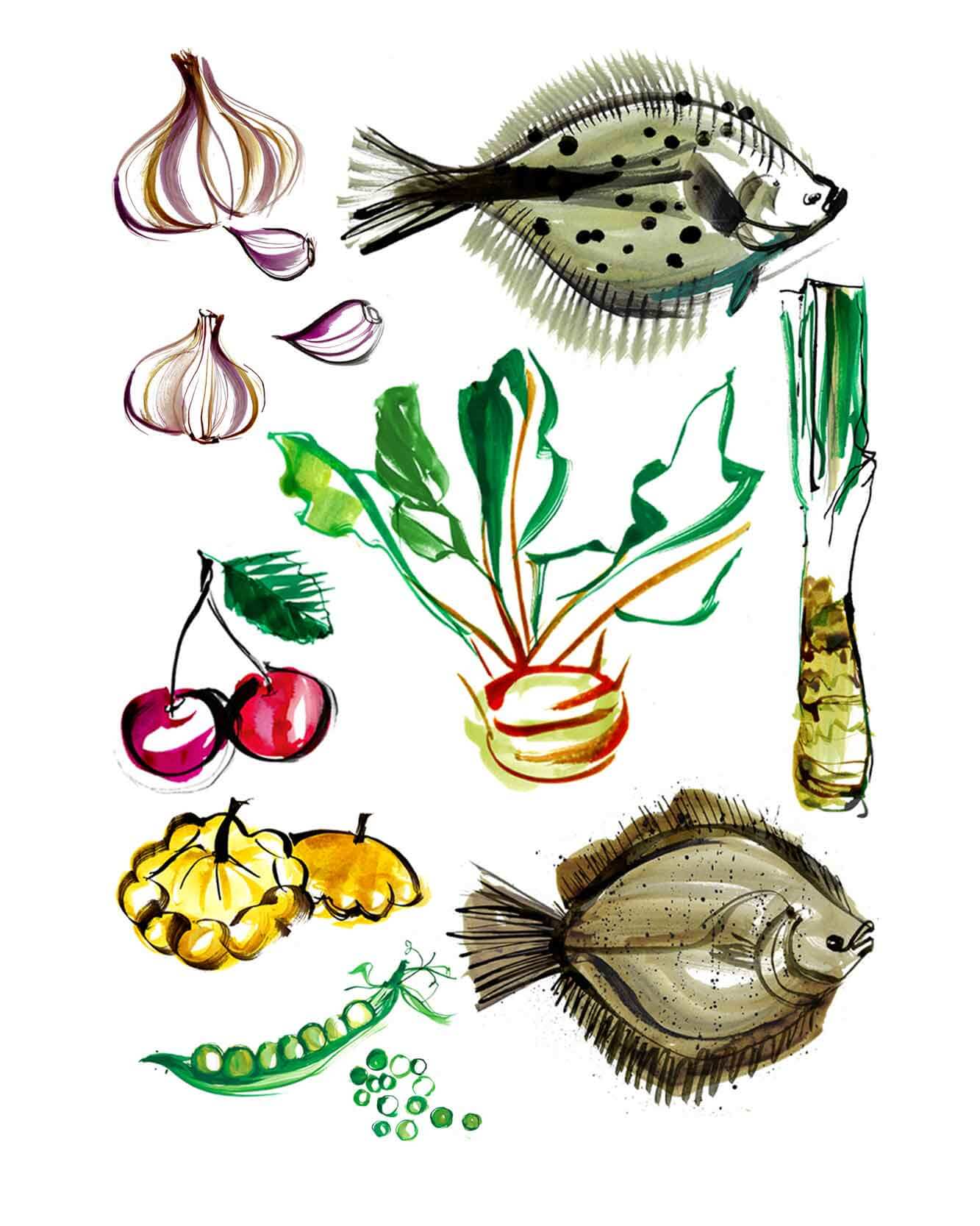 Fresh Spring produce illustrated for a series of illustrations of fresh vegetables, fruit and seafood from the UK. Created with watercolour and coloured ink. Full colour Illustrations for a UK Food Map for Spring Summer produce.