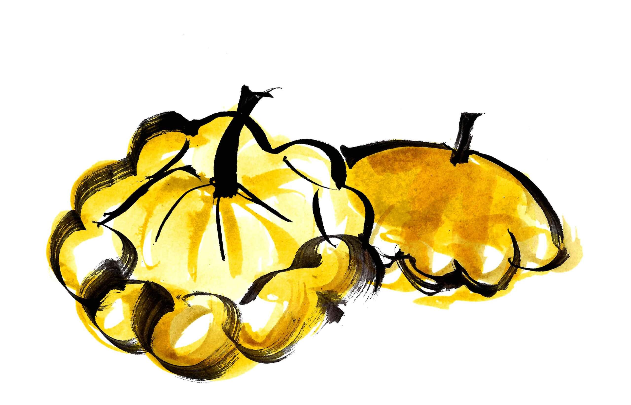 Yellow corguette illustrated A series of illustrations of fresh vegetables and fruit. Created with watercolour and ink drawings. Full colour Illustrations for a UK Food Map for Spring Summer produce.