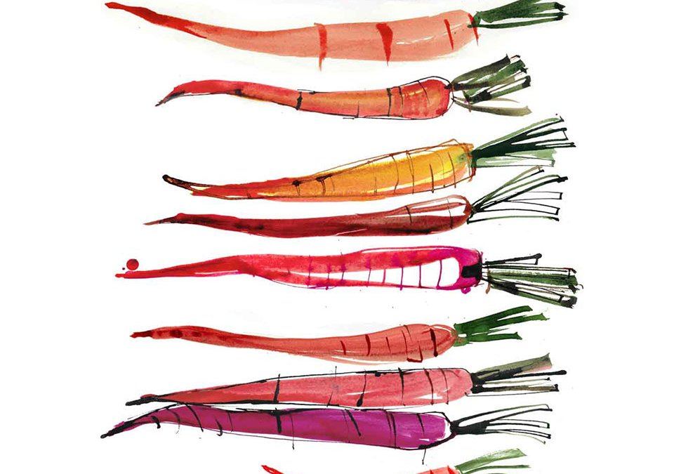 Food -Winter Menu Produce Illustrations – The London Peninsula