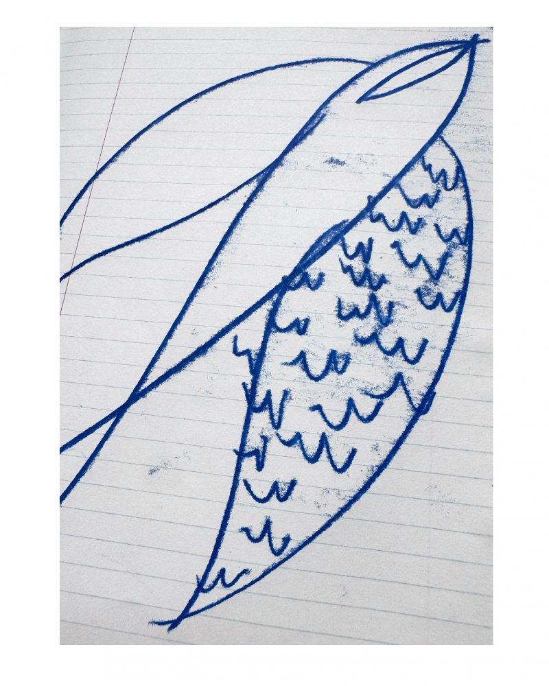 A detail from an original oil mono print drawing by Caroline Tomlinson.Blue lines drawn on vintage paper For those who flying high. Mono print drawing of a bird - celebrating the journey. Original drawing for the home by Caroline Tomlinson. SIZE – 160mm