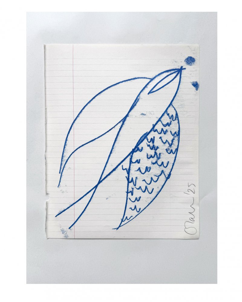 An original oil mono print drawing by Caroline Tomlinson.Blue lines drawn on vintage paper For those who flying high. Mono print drawing of a bird - celebrating the journey. Original drawing for the home by Caroline Tomlinson. SIZE – 160mm x 204mm