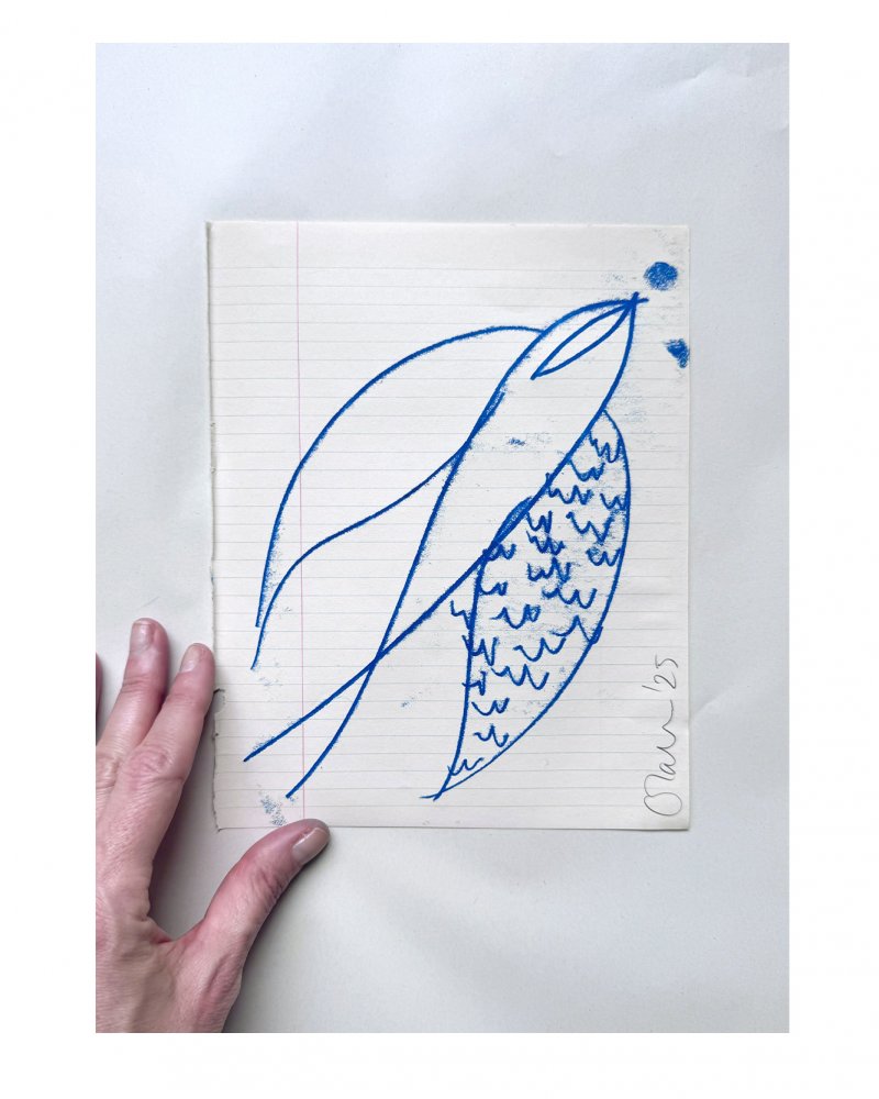 An original oil mono print drawing by Caroline Tomlinson.Blue lines drawn on vintage paper For those who flying high. Mono print drawing of a bird - celebrating the journey. Original drawing for the home by Caroline Tomlinson. SIZE – 160mm x 204mm