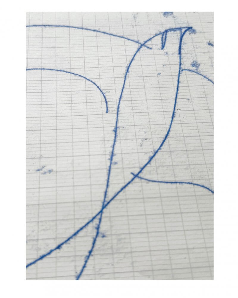 Detail of an original oil mono print drawing by Caroline Tomlinson.Blue lines drawn on vintage paper For those who flying high. Mono print drawing of a bird - celebrating the journey. Original drawing for the home by Caroline Tomlinson. SIZE – 160mm x 204mm
