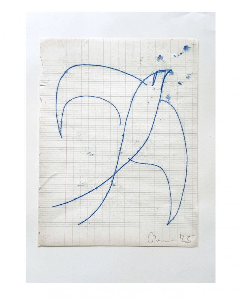 An original oil mono print drawing by Caroline Tomlinson.Blue lines drawn on vintage paper For those who flying high. Mono print drawing of a bird - celebrating the journey. Original drawing for the home by Caroline Tomlinson. SIZE – 160mm x 204mm