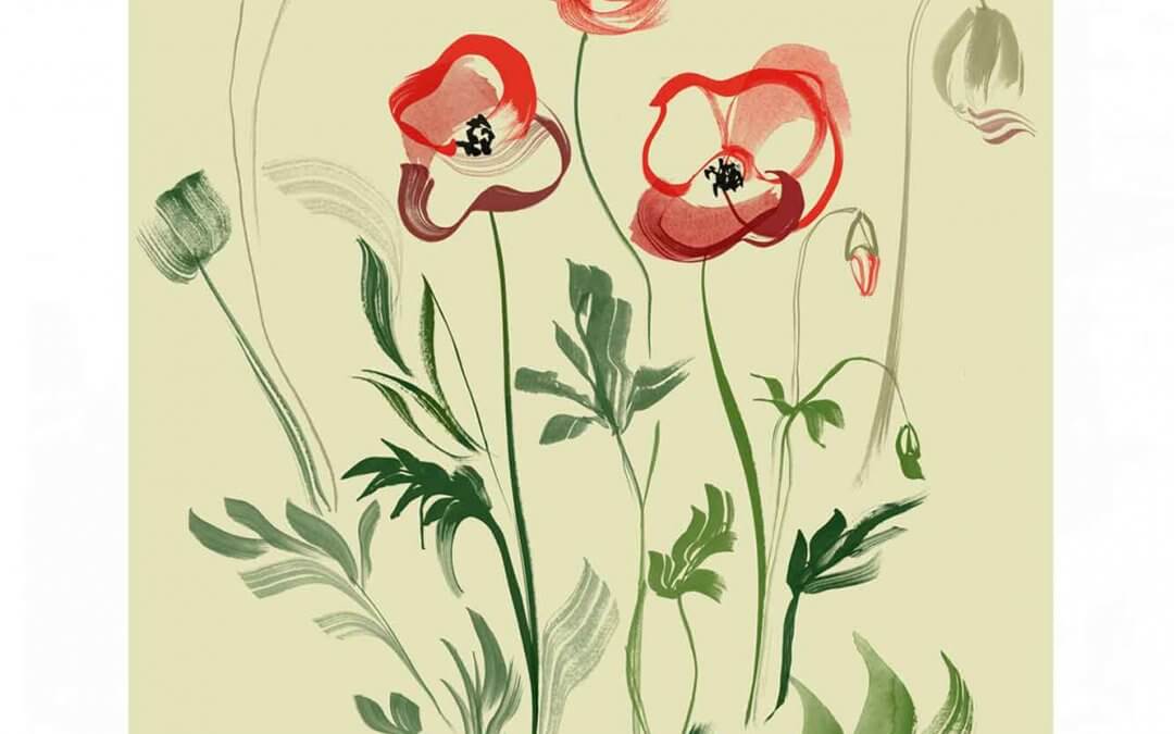 Flora & Fauna – Poppies