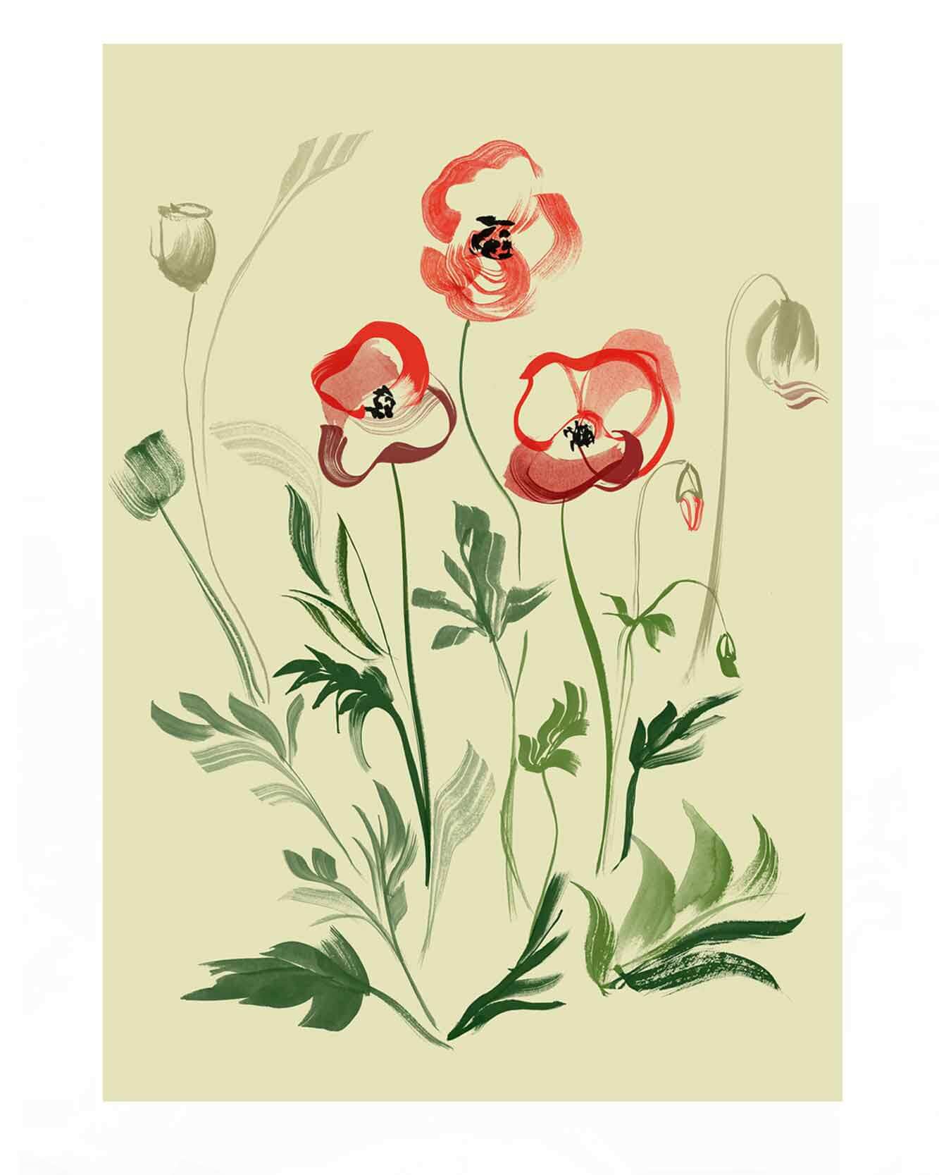 Flora & Fauna – Poppies