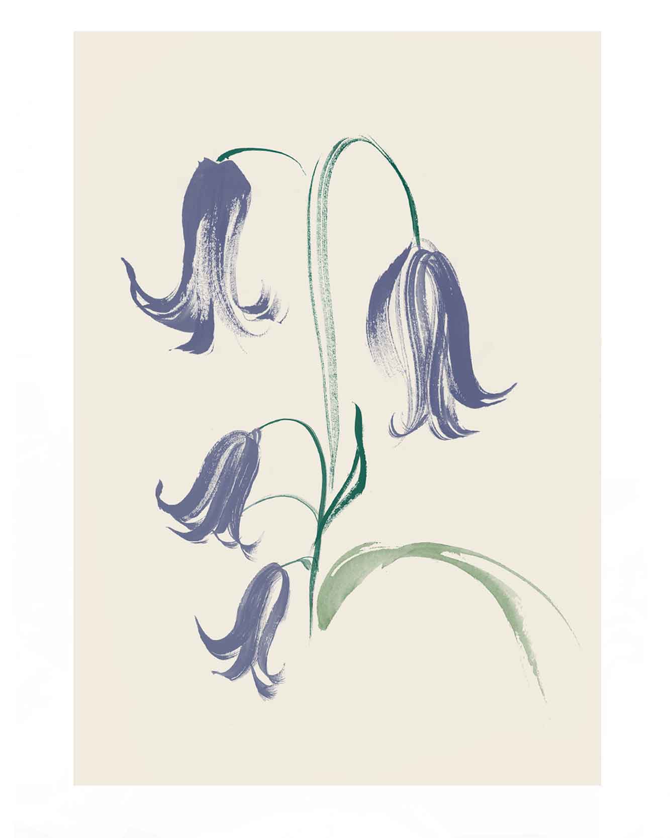 British wild flower illustrations. Blue bells illustrated. Gestural ink brushstrokes for textile prints and ceramics designs.