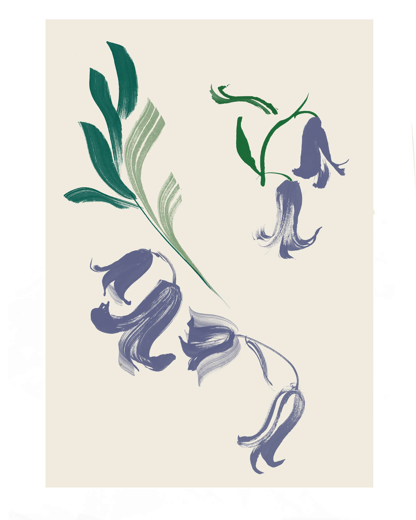 British wild flower illustrations. Blue bells illustrated. Gestural ink brushstrokes for textile prints and ceramics designs.