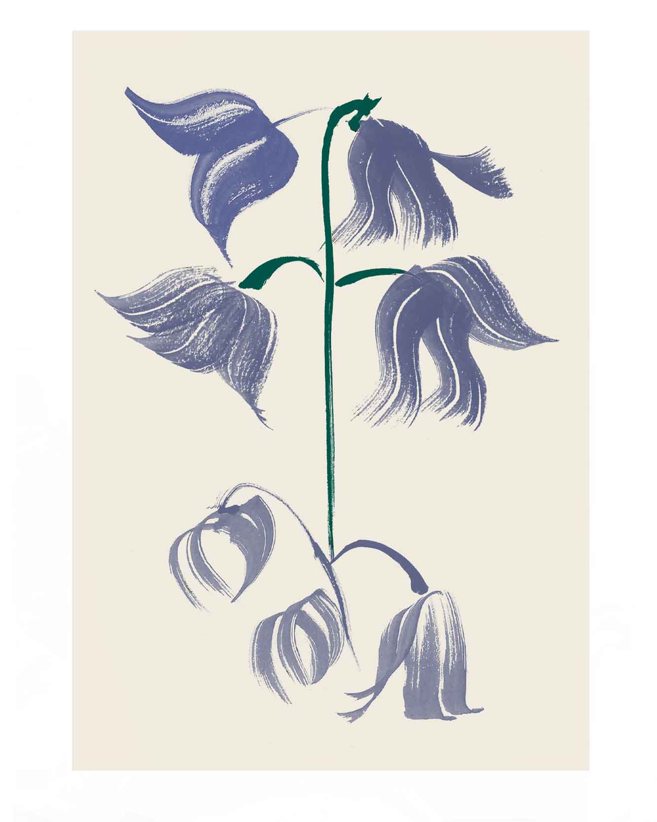 British wild flower illustrations. Blue bells illustrated. Gestural ink brushstrokes for textile prints and ceramics designs.