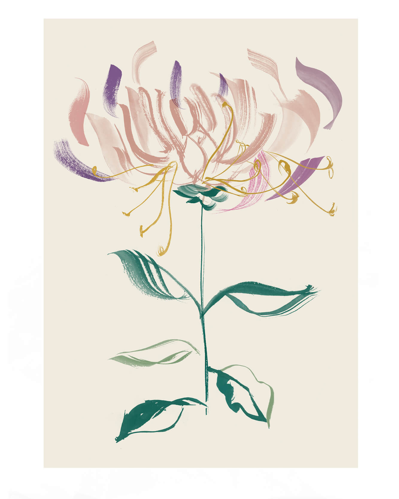 British wild flower illustrations. Honey suckle illustrated. Gestural ink brushstrokes for textile prints and ceramics designs.