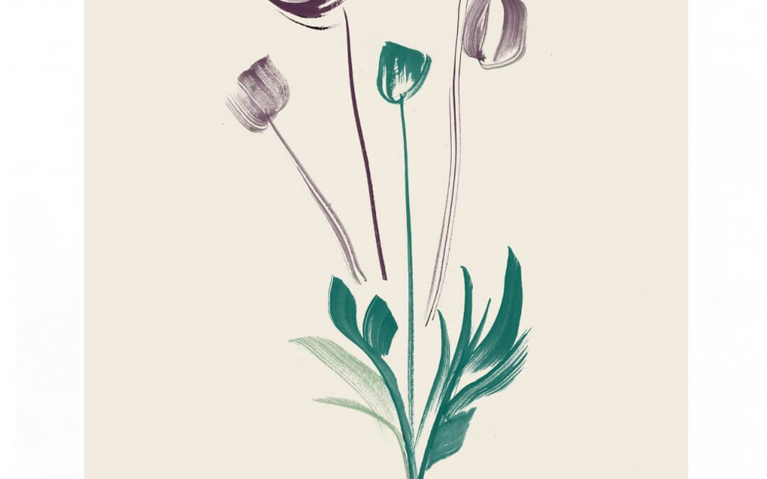 Flora & Fauna – British Wild Flowers