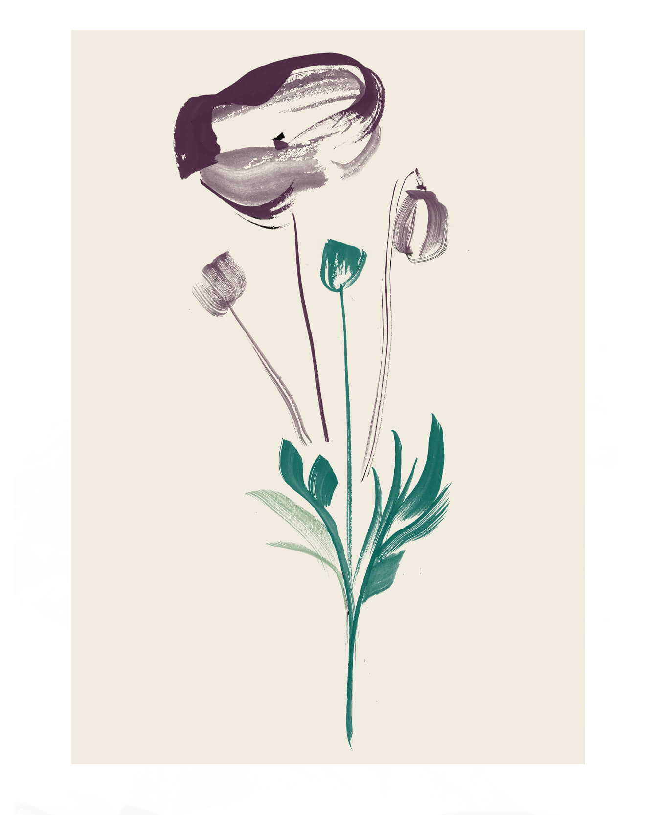 Flora & Fauna – British Wild Flowers