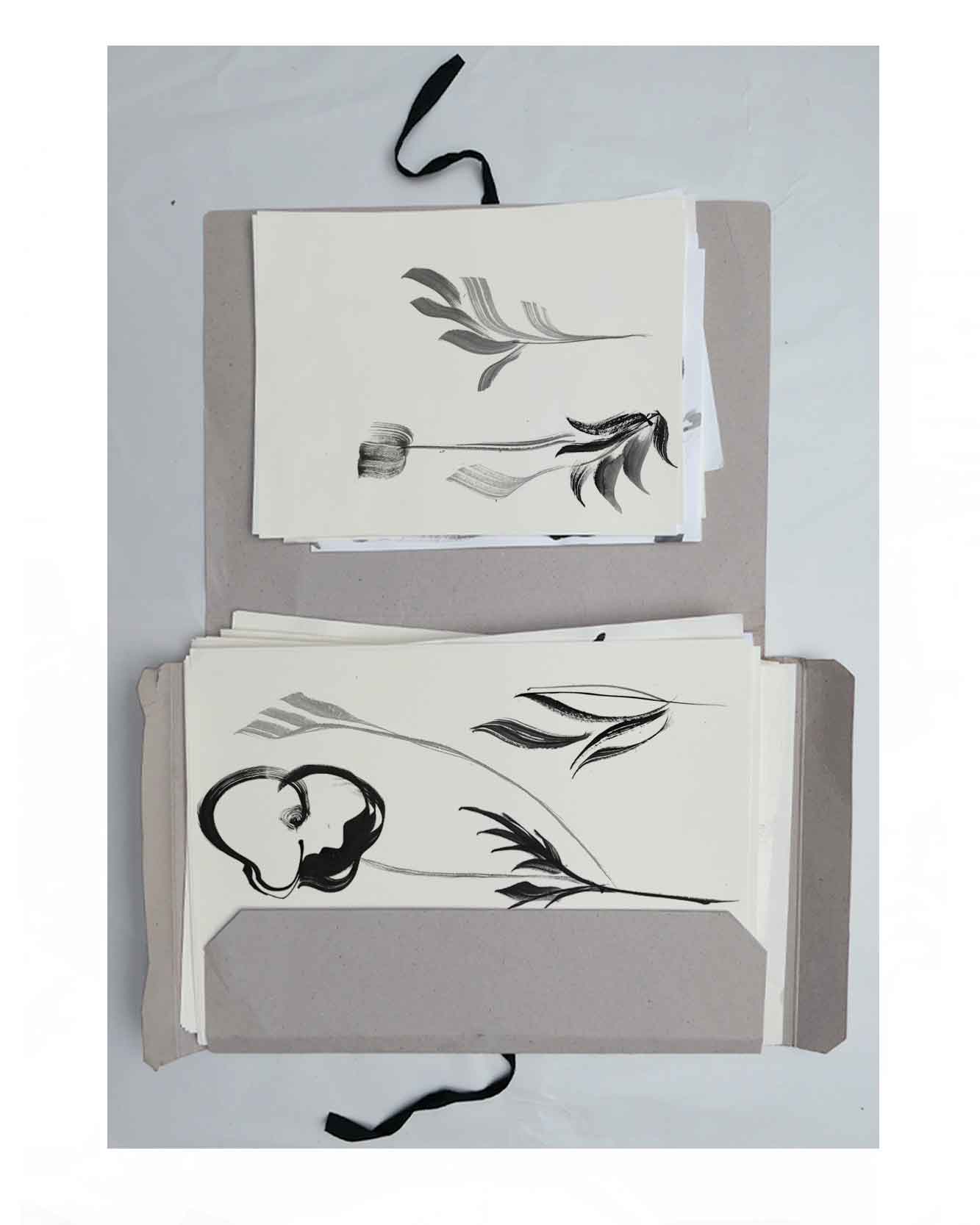 Initial brush strokes of wild flower illustrations. Gestural ink brushstrokes for textile prints and ceramics designs.