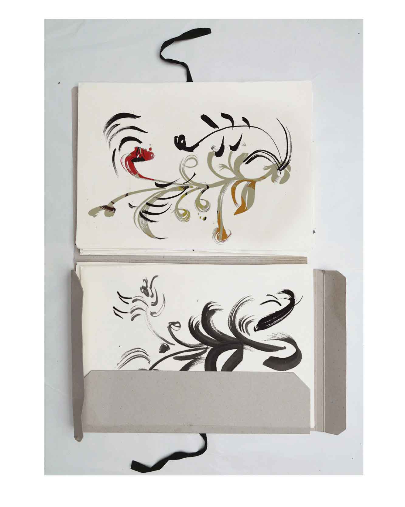 Initial botanical inspired shapes and pattering for  illustration inspired by the flavours and botanicals of champagne and red wine comes to life with animation.