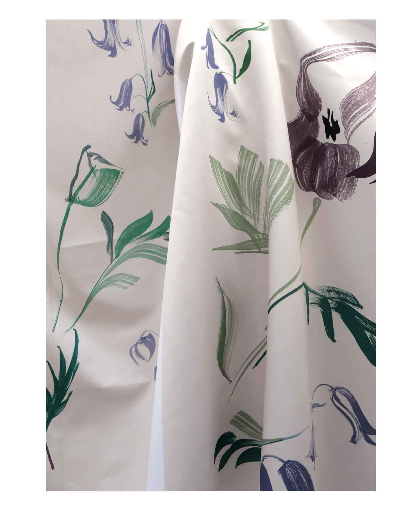 British wild flower illustrations. Wild poppy. Gestural ink brushstrokes for textile prints and ceramics designs.