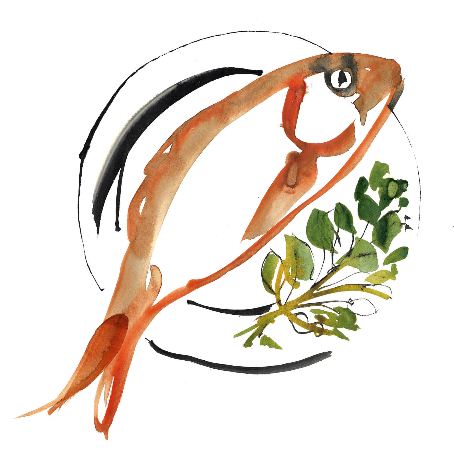 Stylized seafood illustration initial sketchbook representing fresh ocean ingredients and coastal cuisine