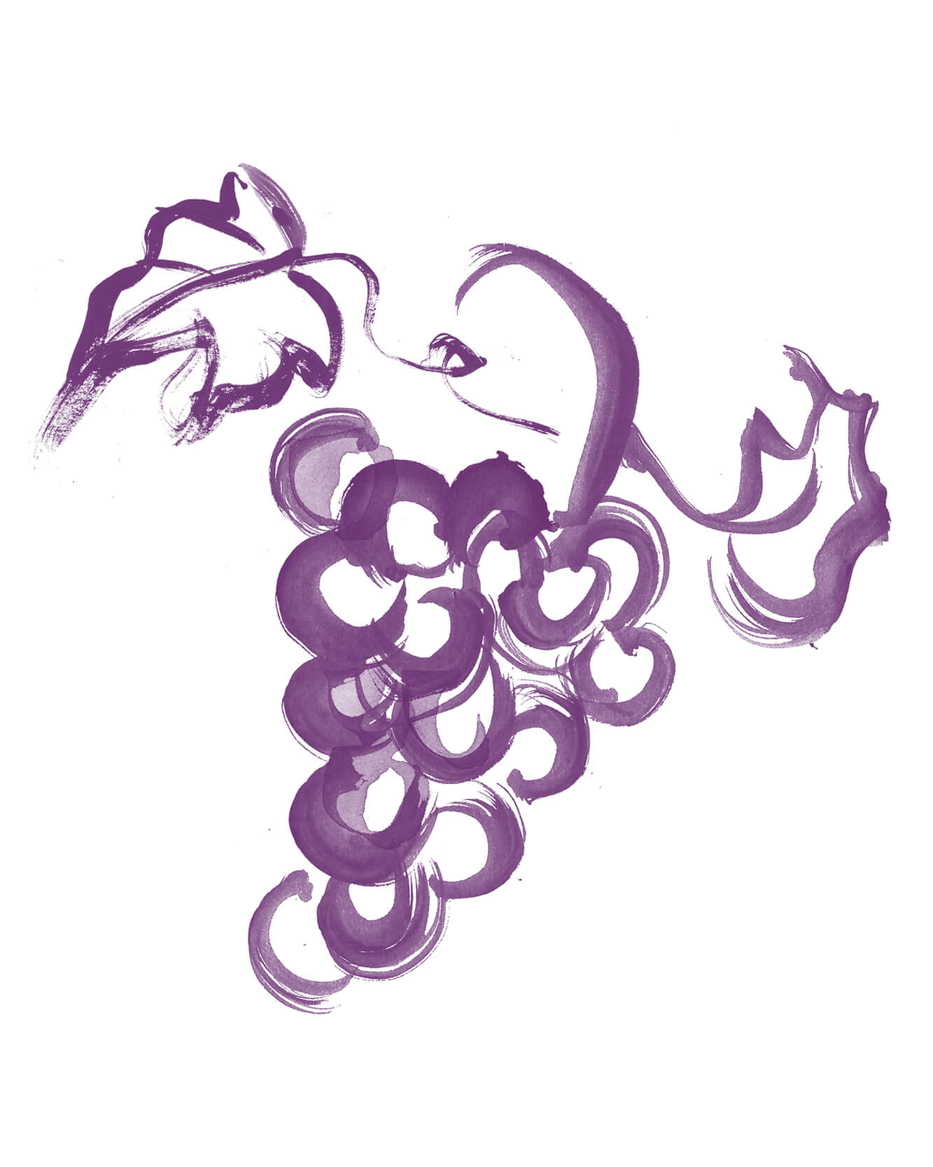 Beauty illustration - black brush strokes for Olay brand. Multiple drawn face and inky brush stroke features. Iconography illustrations, graphics minimal brushstrokes.