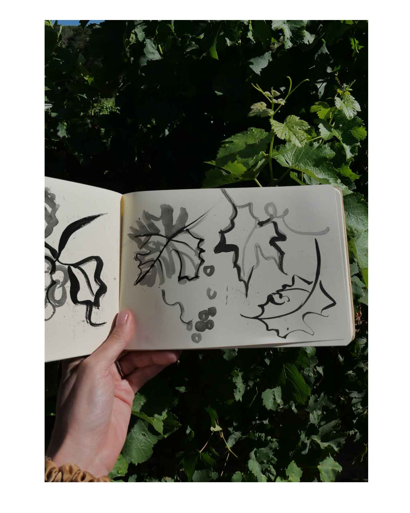 Beauty illustration work in progress on the studio wall. Sketches and papers on the studio wall - black brush strokes for Olay brand. Body and face and inky brush strokes style. Iconography illustrations, graphics minimal brushstrokes.