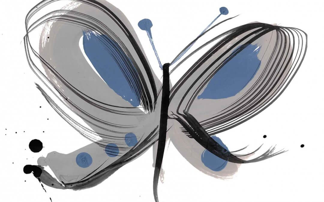 Animals – Blue Butterfly