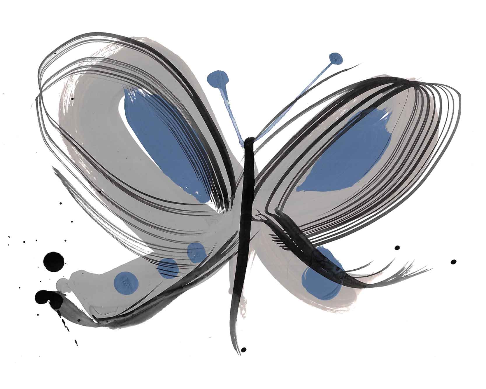 Animals – Blue Butterfly
